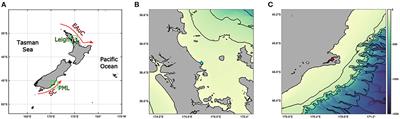 Marine heatwaves in shallow coastal ecosystems are coupled with the atmosphere: Insights from half a century of daily in situ temperature records